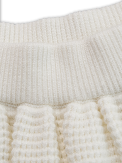 【24-hour shipping out】Elegant Urban High Quality Long Sleeve Top And Pleated Skirt Two Piece Set