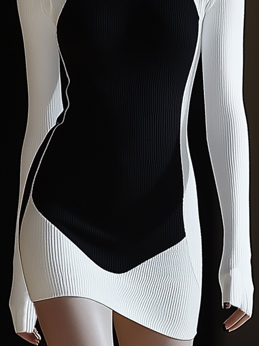 Elegant and Stylish Half-high Collar Black and White Contrast Mini Dress